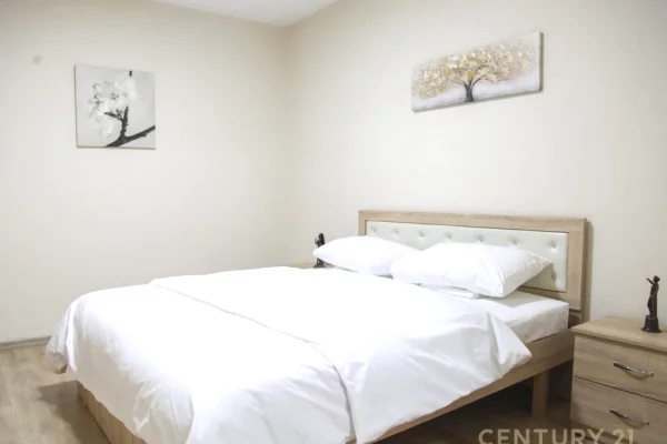 Appartamento in affitto a Tirana 2+1, Arredato