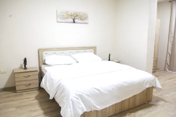 Appartamento in affitto a Tirana 2+1, Arredato