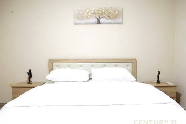 Appartamento in affitto a Tirana 2+1, Arredato