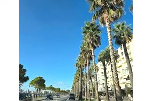 Shtepi ne shitje Apartament ne Vlore, 1+1, Mobilimi Bosh, pa mobiluar, Pagesa 284,600  Euro.