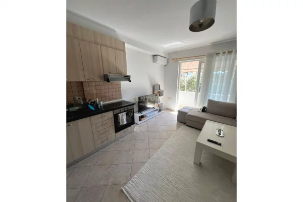 Shtepi ne shitje Apartament ne Tirane, 1+1, Mobilimi E mobiluar, Pagesa 155,000  Euro.