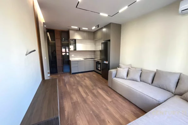 Shtepi ne shitje Apartament ne Tirane, 1+1, Mobilimi E mobiluar, Pagesa 155,000  Euro.