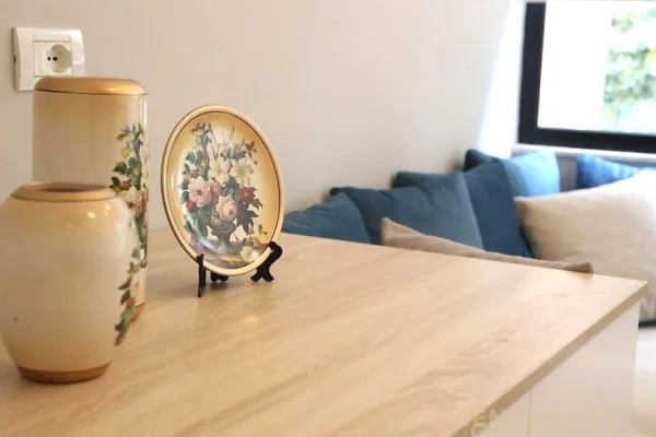 Apartment for rent in Tirana 2+1, Furnished