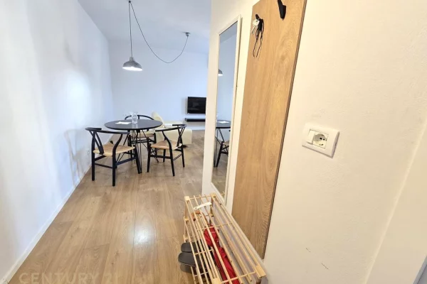 Apartment for rent in Tirana 1+1, Furnished