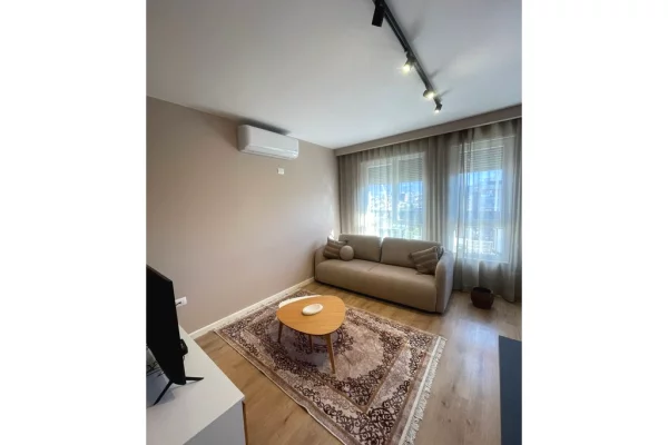 Shtepi me qera Apartament ne Tirane, 1+1, Mobilimi E mobiluar, Pagesa 600  Euro.