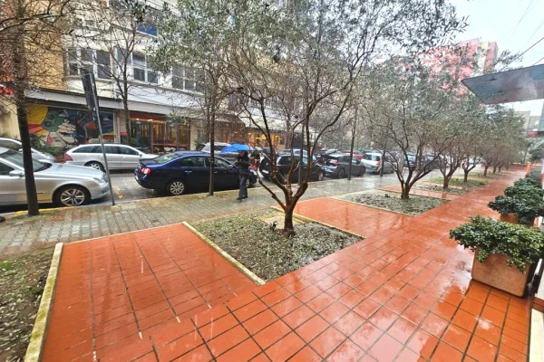 Jepet me qira ambient komercial prane Art Tribuna!