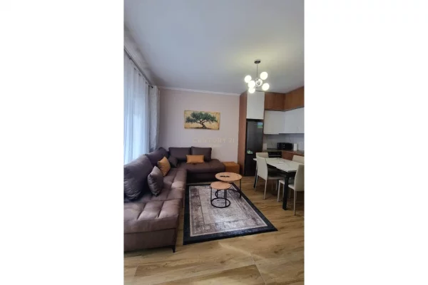 Apartment for rent in Tirana 1+1, Furnished