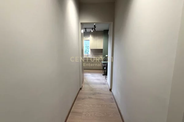 Shtepi ne shitje Apartament ne Tirane, Garsoniere, Mobilimi E mobiluar, Pagesa 290,000  Euro.
