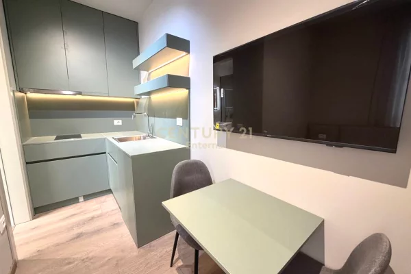 Shtepi ne shitje Apartament ne Tirane, Garsoniere, Mobilimi E mobiluar, Pagesa 290,000  Euro.