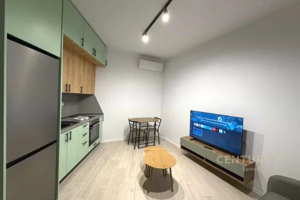 House for Rent 1+1 in Tirana - 55,000 Leke