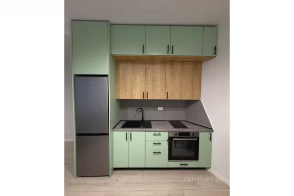 Apartment for rent in Tirana 1+1, Furnished