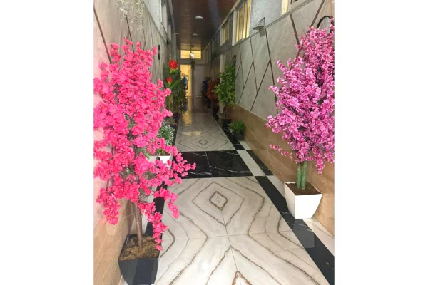 Apartament 1+1 Me Qira në Ali Demi, Tiranë