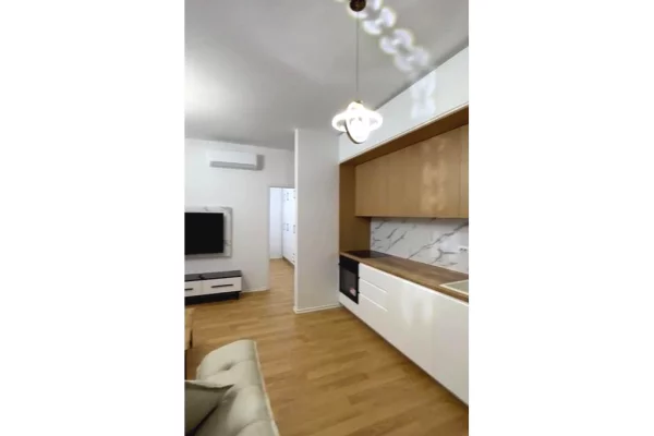 Shtepi me qera Apartament ne Tirane, 1+1, Mobilimi E mobiluar, Pagesa 650  Euro.