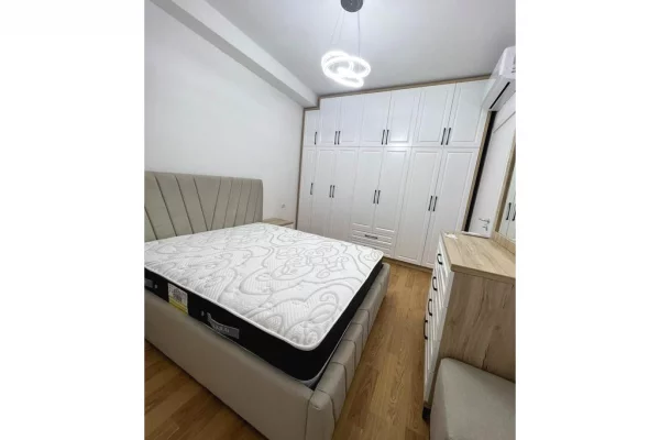 Shtepi me qera Apartament ne Tirane, 1+1, Mobilimi E mobiluar, Pagesa 650  Euro.