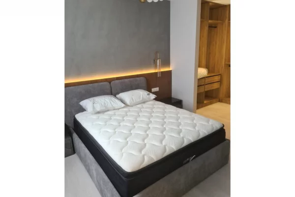 Shtepi me qera Apartament ne Tirane, 1+1, Mobilimi E mobiluar, Pagesa 650  Euro.