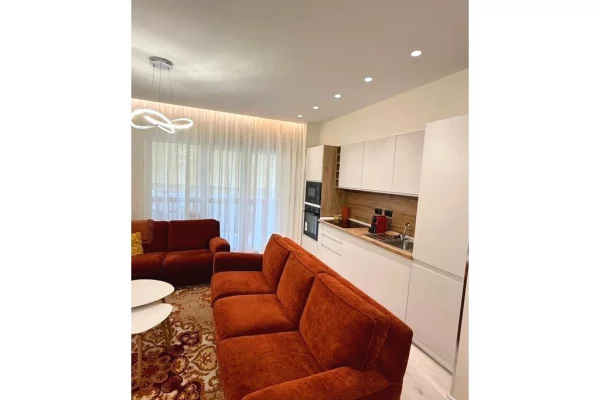 Shtepi me qera Apartament ne Tirane, 1+1, Mobilimi E mobiluar, Pagesa 883  Euro.