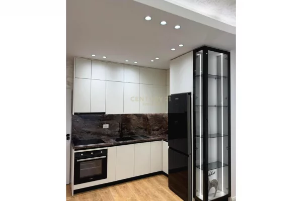 Shtepi ne shitje Apartament ne Tirane, 1+1, Mobilimi E mobiluar, Pagesa 109,000  Euro.