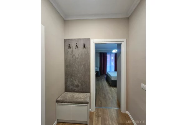 Shtepi me qera Apartament ne Tirane, 1+1, Mobilimi Bosh, pa mobiluar, Pagesa 55,000  Leke.