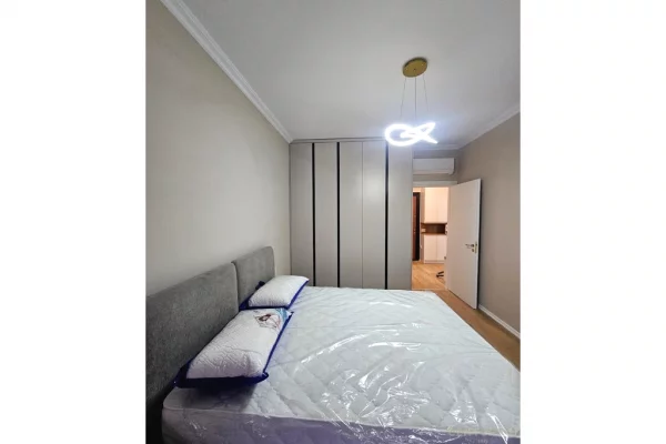 Shtepi me qera Apartament ne Tirane, 1+1, Mobilimi Bosh, pa mobiluar, Pagesa 55,000  Leke.