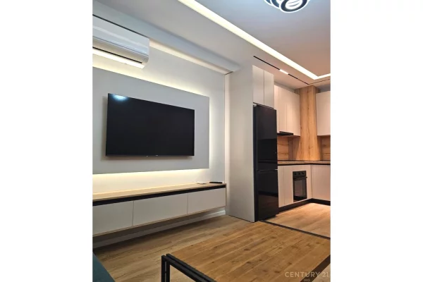 Shtepi me qera 1+1 ne Tirane - 55,000 Leke