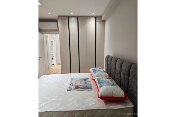 Shtepi me qera Apartament ne Tirane, 1+1, Mobilimi Bosh, pa mobiluar, Pagesa 55,000  Leke.