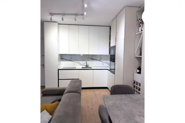 Shtepi me qera Apartament ne Tirane, 1+1, Mobilimi E mobiluar, Pagesa 60,000  Leke.