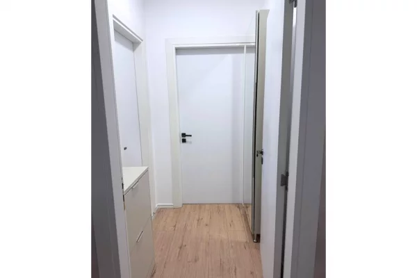 Shtepi me qera Apartament ne Tirane, 1+1, Mobilimi E mobiluar, Pagesa 60,000  Leke.