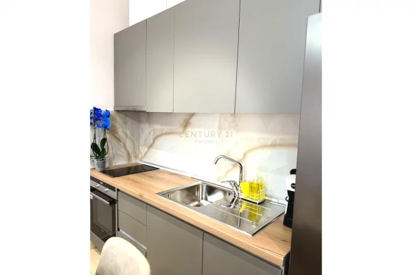 Shtepi me qera Apartament ne Tirane, 1+1, Mobilimi E mobiluar, Pagesa 650  Euro.