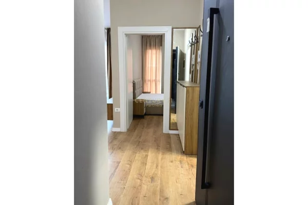 Shtepi me qera Apartament ne Tirane, 1+1, Mobilimi E mobiluar, Pagesa 42,000  Leke.