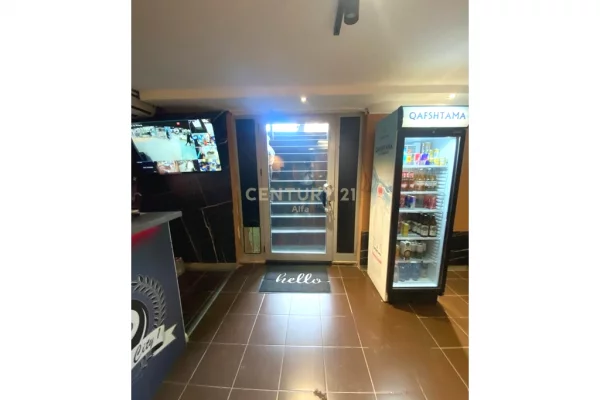 Shitet Biznes Sheshi Wilson