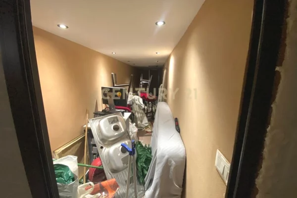 Shitet Biznes Sheshi Wilson