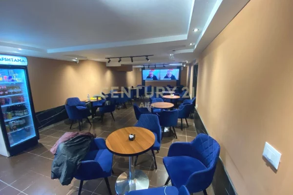 Shitet Biznes Sheshi Wilson