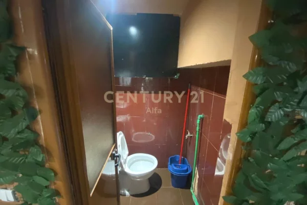 Shitet Biznes Sheshi Wilson