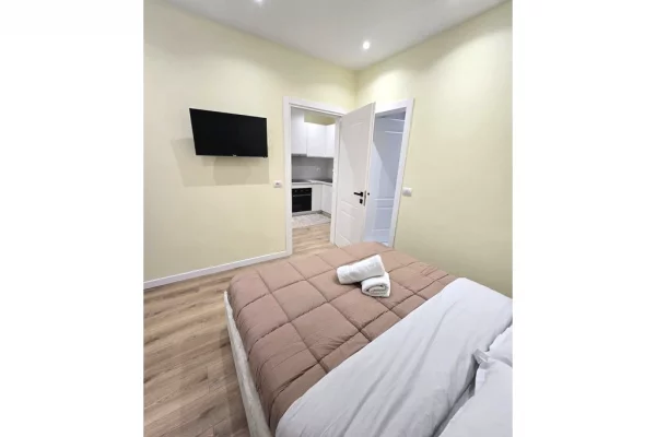 Shtepi me qera Apartament ne Tirane, 1+1, Mobilimi E mobiluar, Pagesa 620  Euro.