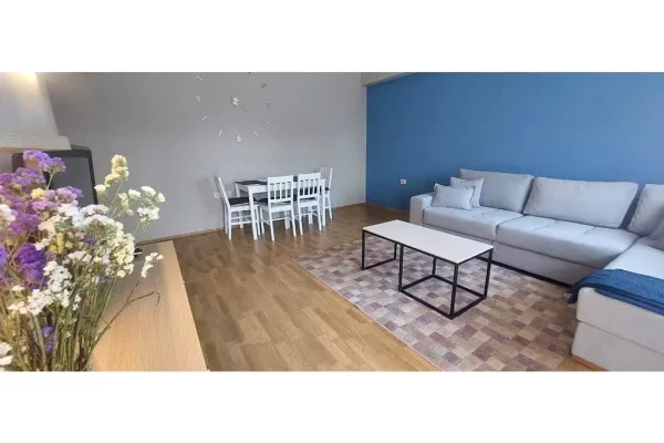 Shtepi me qera Apartament ne Tirane, 1+1, Mobilimi E mobiluar, Pagesa 600  Euro.