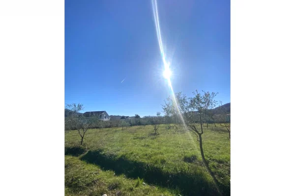 Truall ose Toke ne Tirane - 480,000 Euro