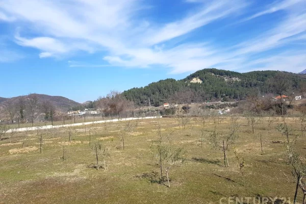 Truall ose Toke ne Tirane - 480,000 Euro