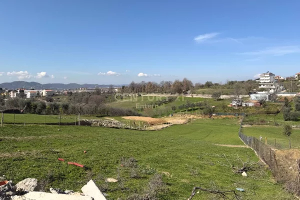 Toke per Shitje , Farke e Madhe