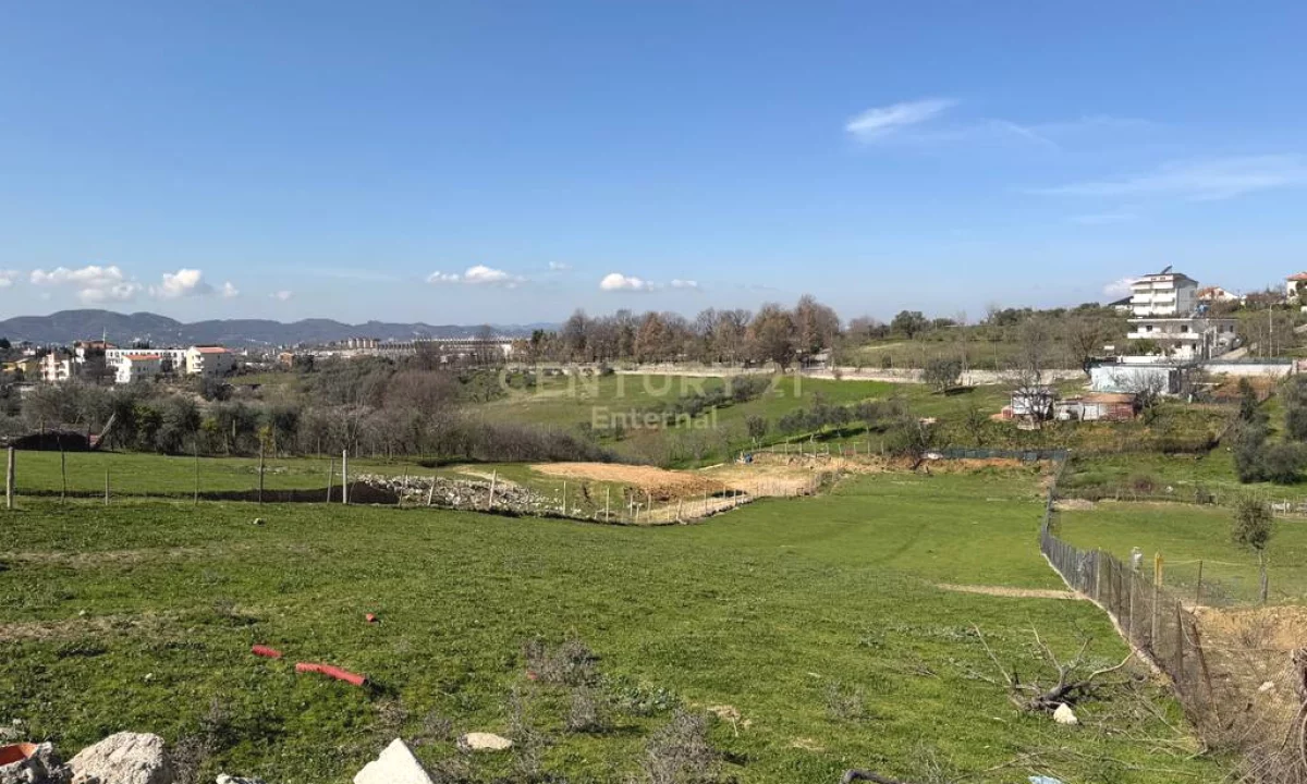 Toke per Shitje , Farke e Madhe