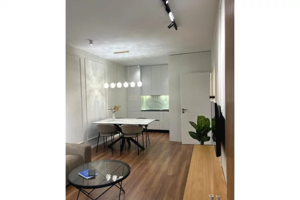 Appartamento in affitto a Tirana 1+1, Arredato