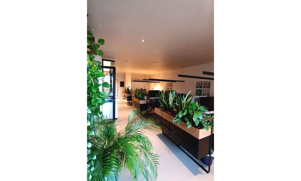 Zyra Moderne per Shitje ne Ish-Bllok