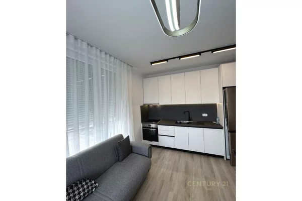 Shtepi me qera Apartament ne Tirane, 1+1, Mobilimi E mobiluar, Pagesa 700  Euro.