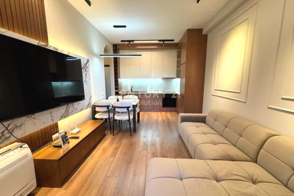 Apartment for sale in Tirana 1+1, Furnished
