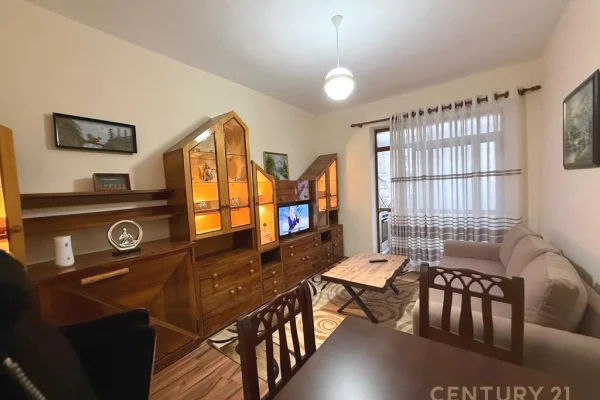 Shtepi me qera Apartament ne Tirane, 1+1, Mobilimi E mobiluar, Pagesa 55,000  Leke.