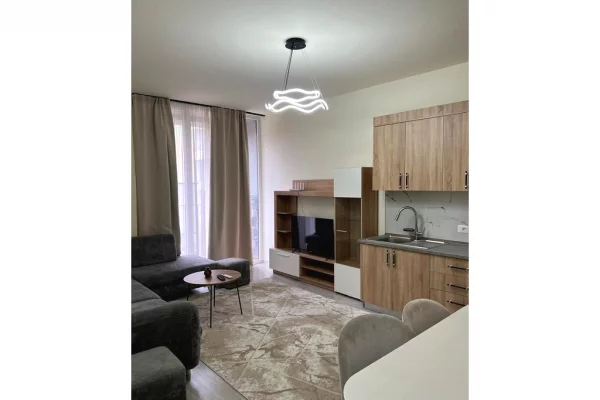 Apartment for sale in Tirana 1+1, Furnished