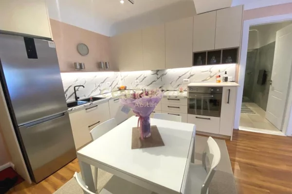 Shtepi me qera Apartament ne Tirane, 1+1, Mobilimi E mobiluar, Pagesa 550  Euro.