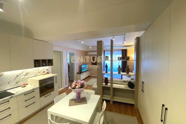 Shtepi me qera Apartament ne Tirane, 1+1, Mobilimi E mobiluar, Pagesa 550  Euro.