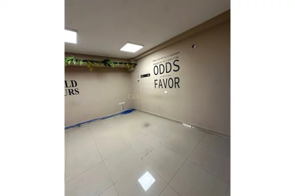 Ambient biznesi me qera 3+1 ne Tirane - 3,000 Euro