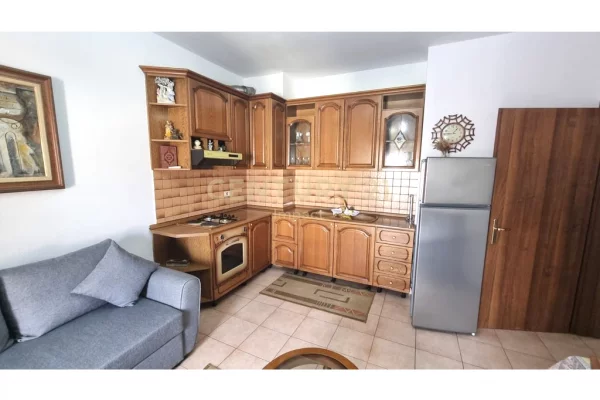 Shtepi me qera Apartament ne Tirane, 1+1, Mobilimi E mobiluar, Pagesa 450  Euro.