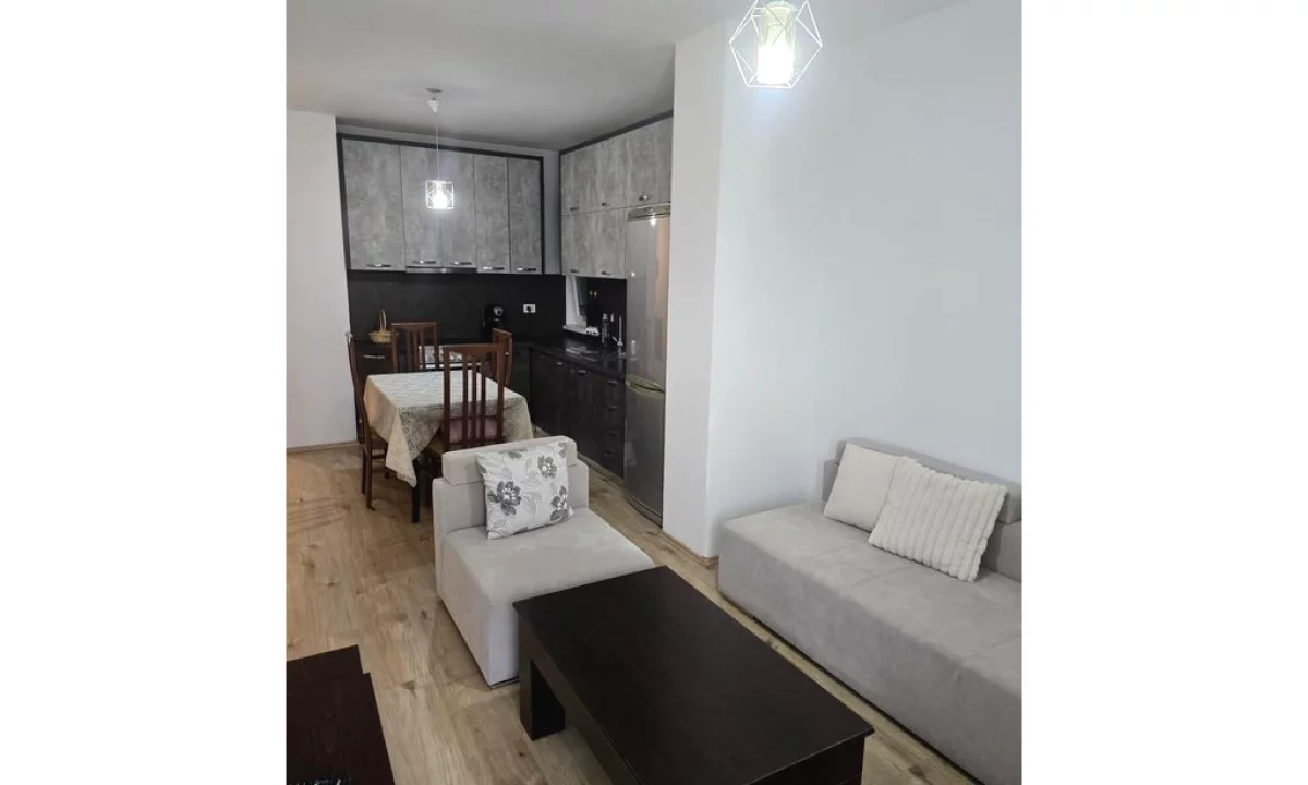 Shtepi me qera Apartament ne Tirane, 1+1, Mobilimi E mobiluar, Pagesa 600  Euro.